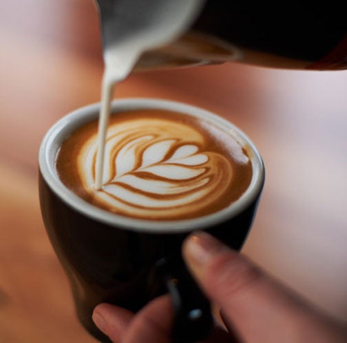Crema/espumadores de capuchino con boquilla Cuisinox