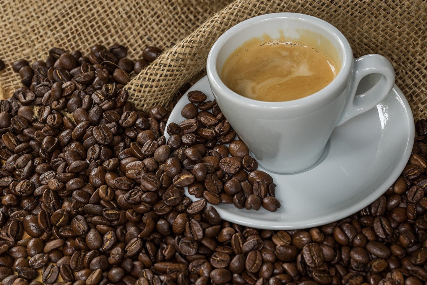Série Signature Cuisinox, ensemble de 6 tasses à expresso, porcelaine blanche