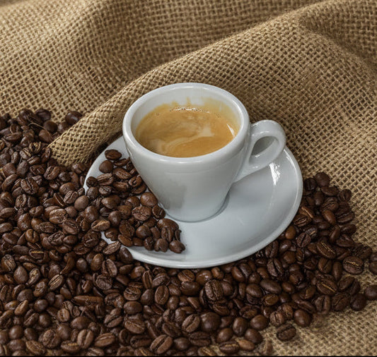 Cuisinox Signature Series, Set of 6 Espresso Cups, White Porcelain