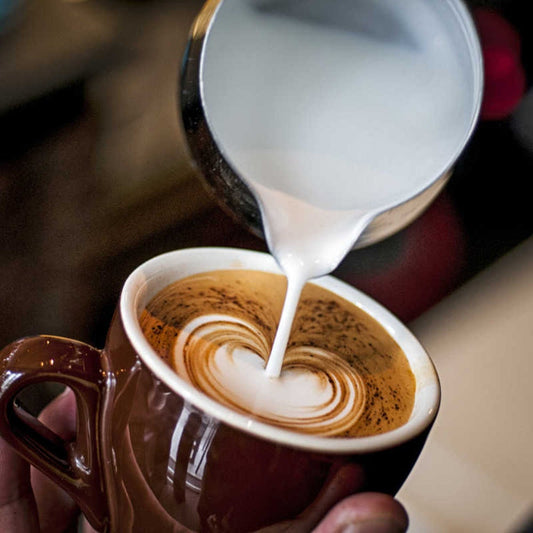 Crema/espumadores de capuchino con boquilla Cuisinox