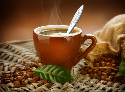 Juego de 6 tazas de café expreso marrón Cuisinox